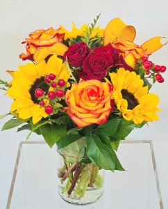 Autumn Sunny Blooms